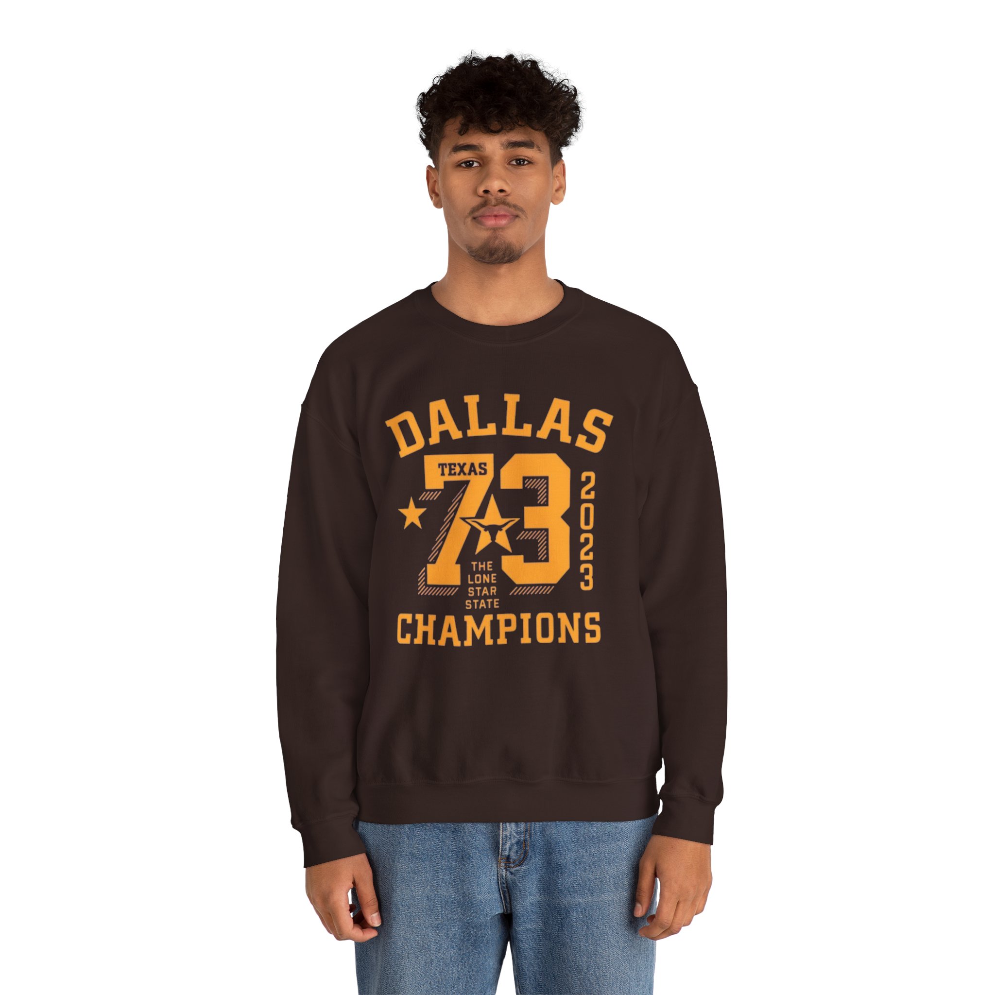 Dallas Champions Sweatshirt, Unisex Crewneck, Texas Sports Apparel, Gift for Fans, Casual Comfort, Perfect for Celebrations retro typography, - Image 13