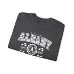 Albany New York Vintage Crewneck Sweatshirt - Retro Graphic Athletic Pullover for Men and Women - Image 15