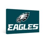Philadelphia Eagles Zubaz Framed Single-Piece Mural For The USA 3:2 - Image 4