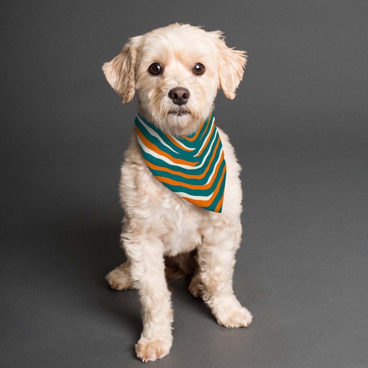 Miami Dolphins Zubaz All-Over Print Pet's Scarf