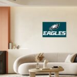 Philadelphia Eagles Zubaz Framed Single-Piece Mural For The USA 3:2