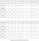 Florida - Gators Women's Pullover Hoodie - Image 5